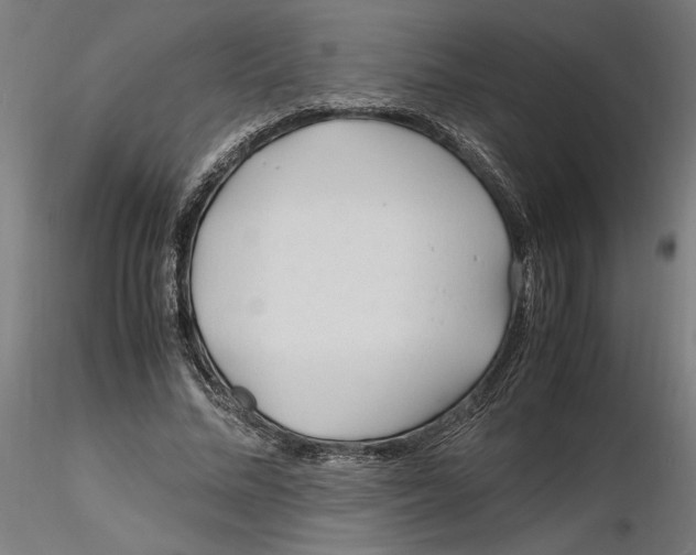 X0000116260684200912291457