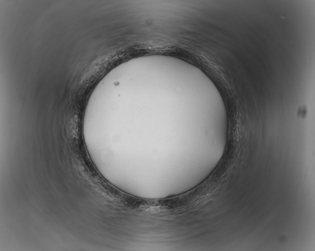 X0000116260689200912291457