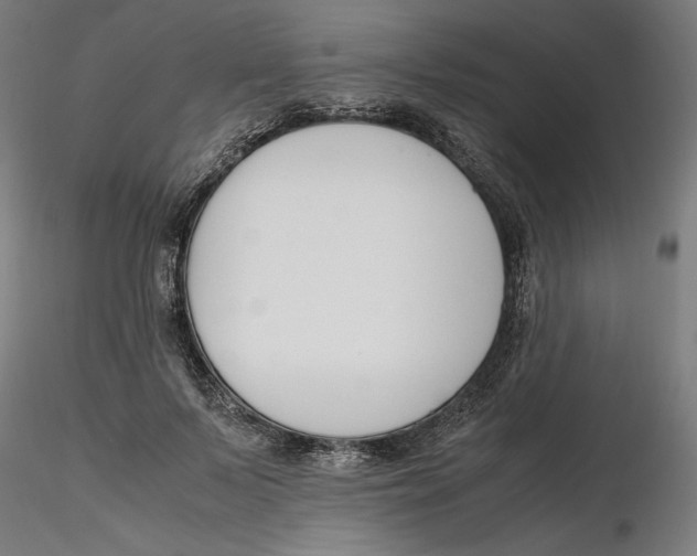 X0000116260695200912291457
