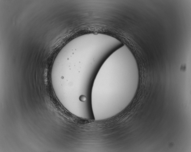 X0000116260696200912291457