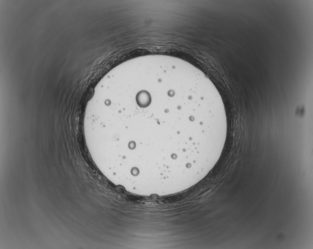 X0000116260697200912291457