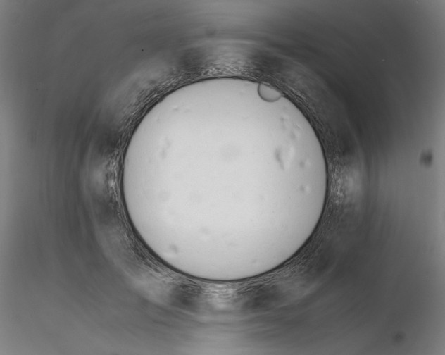 X0000116260701200912291457