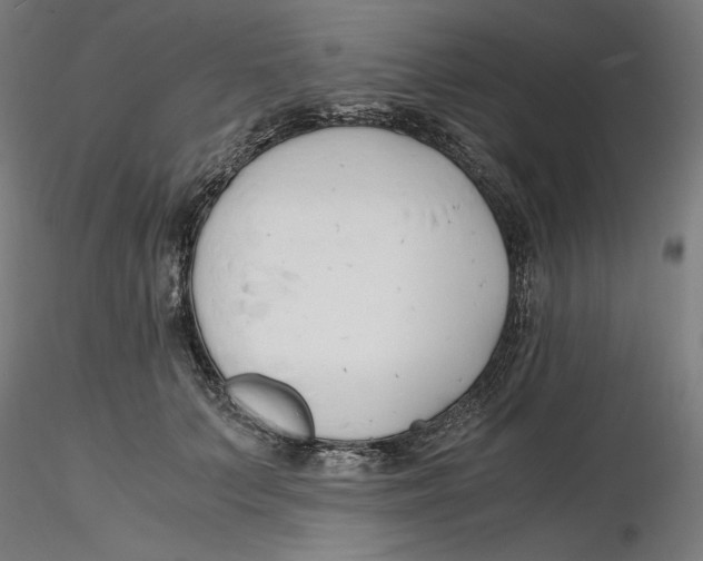 X0000116260703200912291457