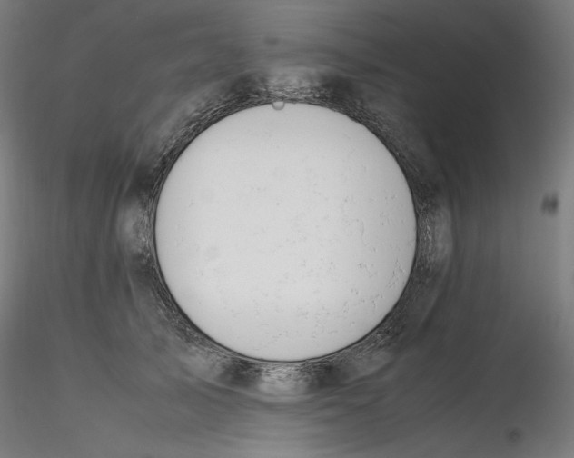 X0000116260705200912291457