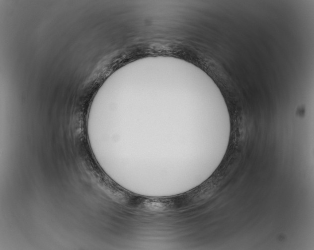 X0000116260706200912291456