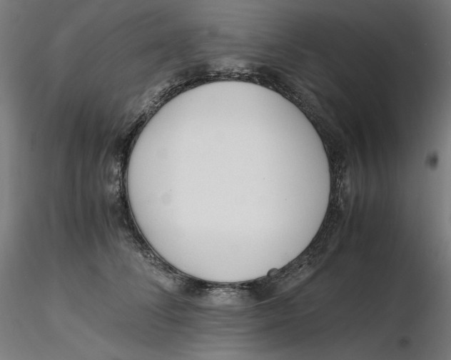 X0000116260708200912291456