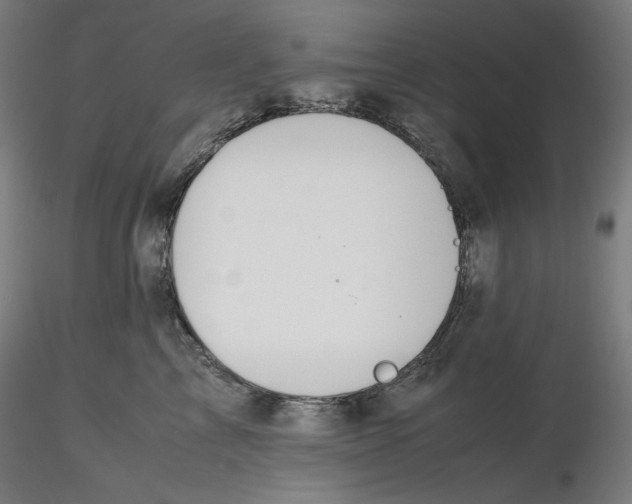 X0000116260713200912291456