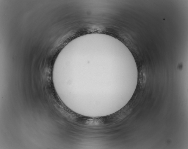 X0000116260714200912291456