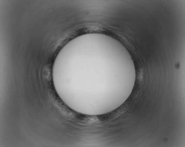 X0000116260715200912291456