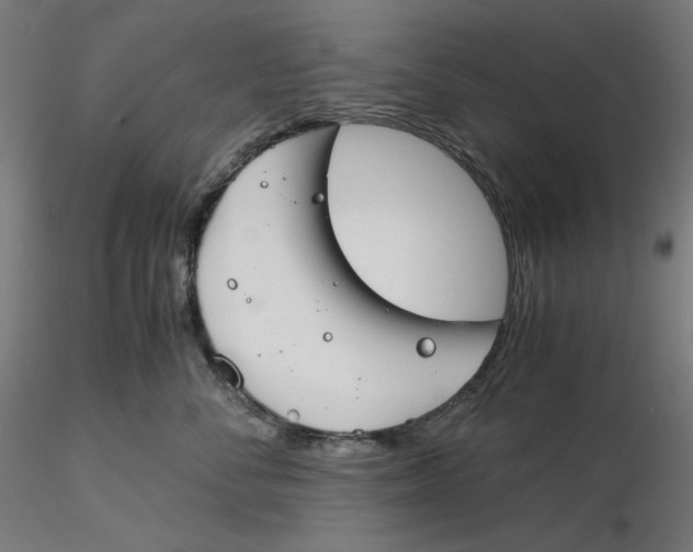 X0000116260716200912291456