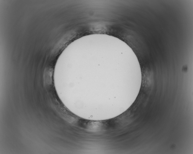 X0000116260717200912291456