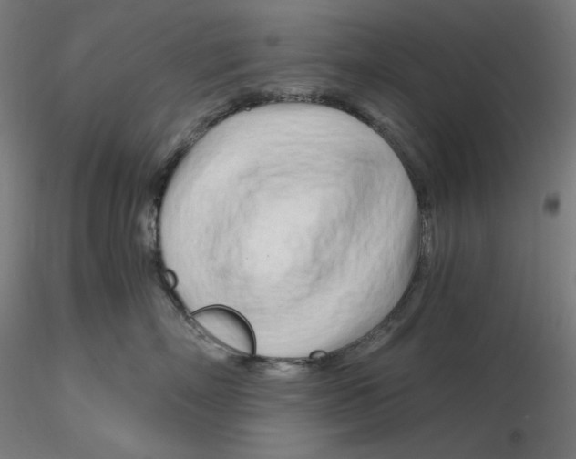 X0000116260718200912291456