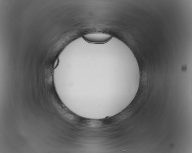 X0000116260719200912291456
