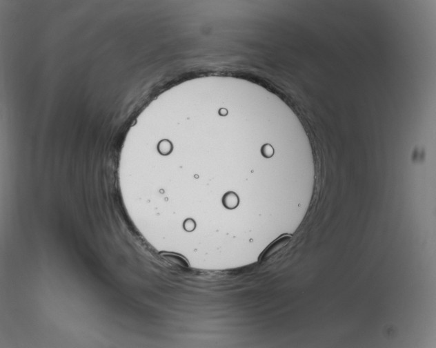 X0000116260720200912291456