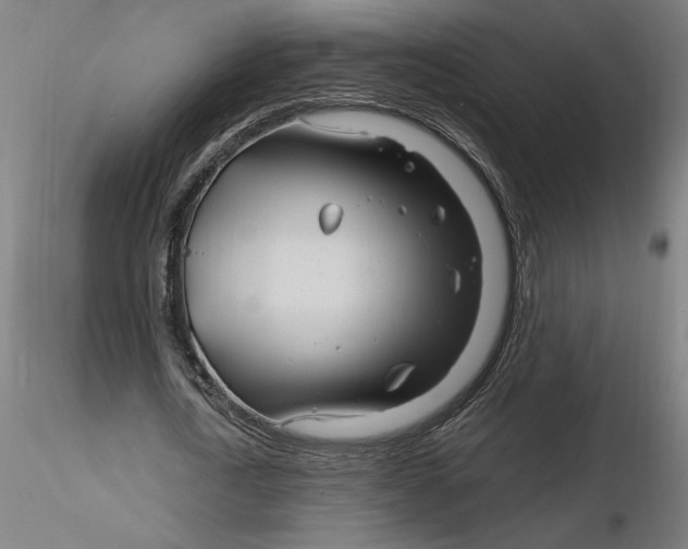 X0000116260722200912291455
