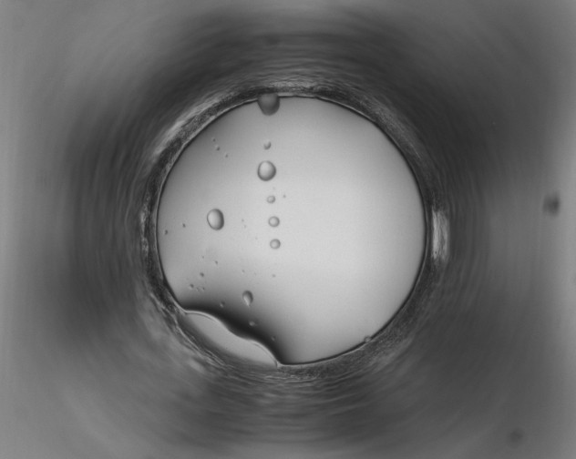 X0000116260723200912291455