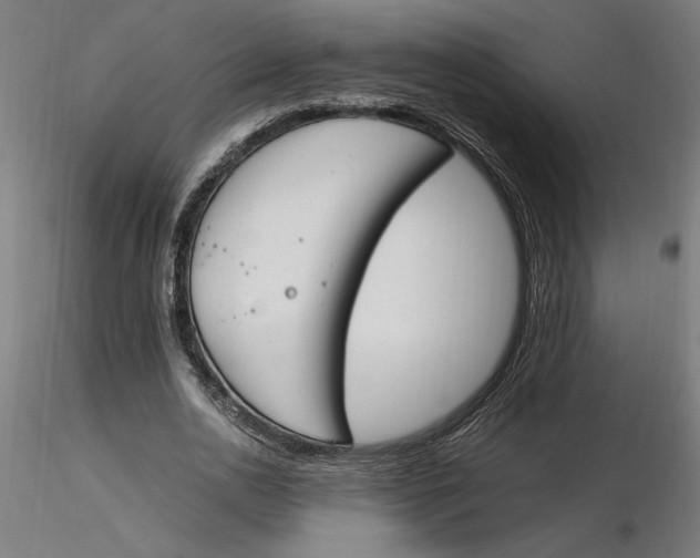 X0000116260726200912291455