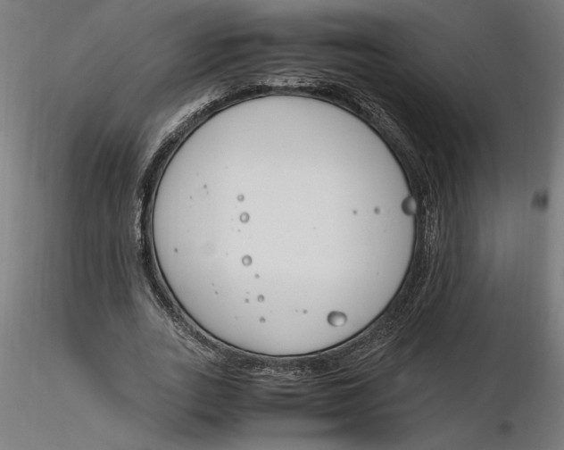 X0000116260727200912291456