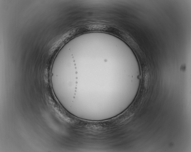 X0000116260729200912291456
