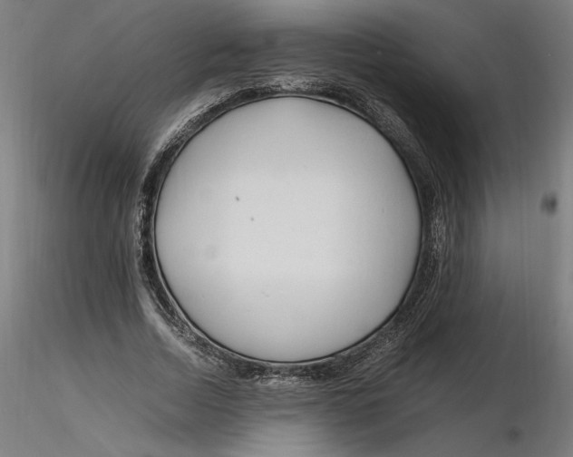 X0000116260730200912291456