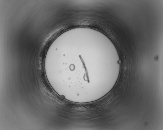 X0000116260731200912291456