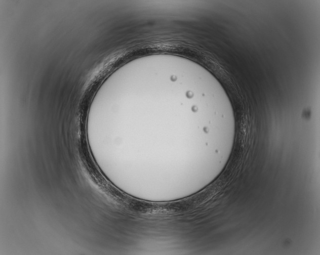 X0000116260734200912291456