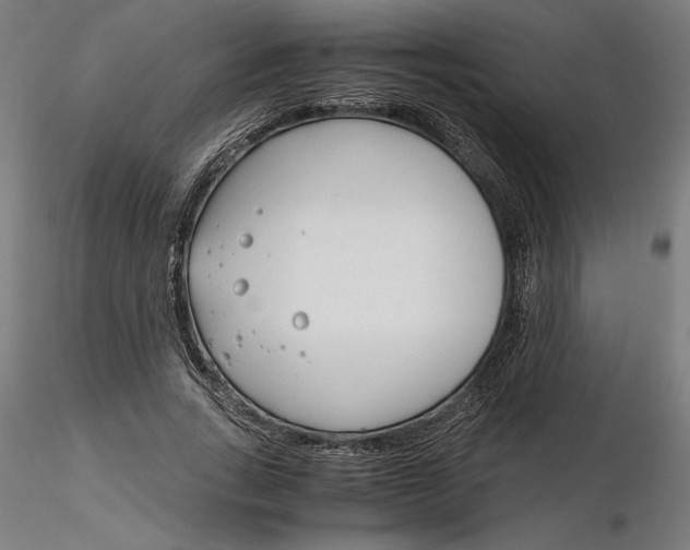 X0000116260735200912291456