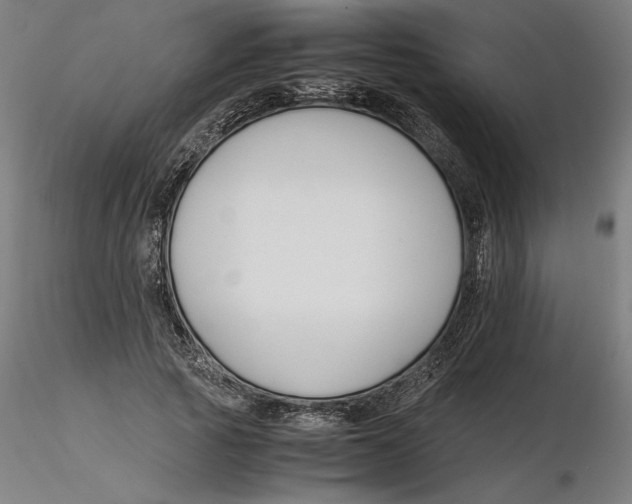 X0000116260737200912291456