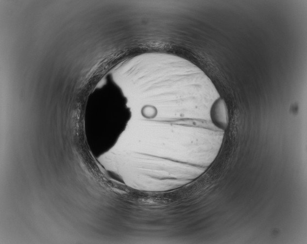 X0000116260739200912291456