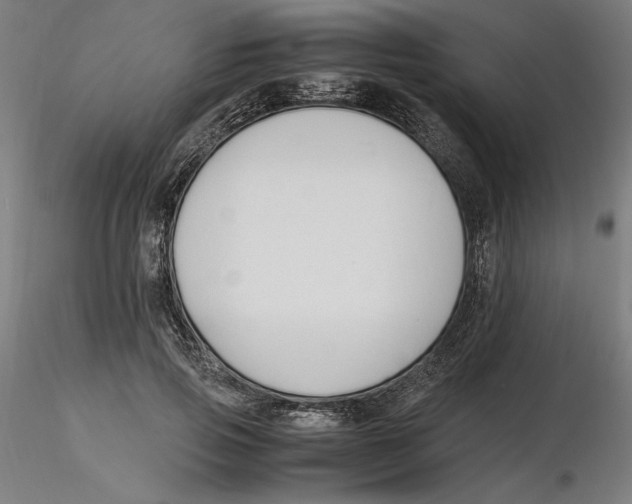 X0000116260741200912291456