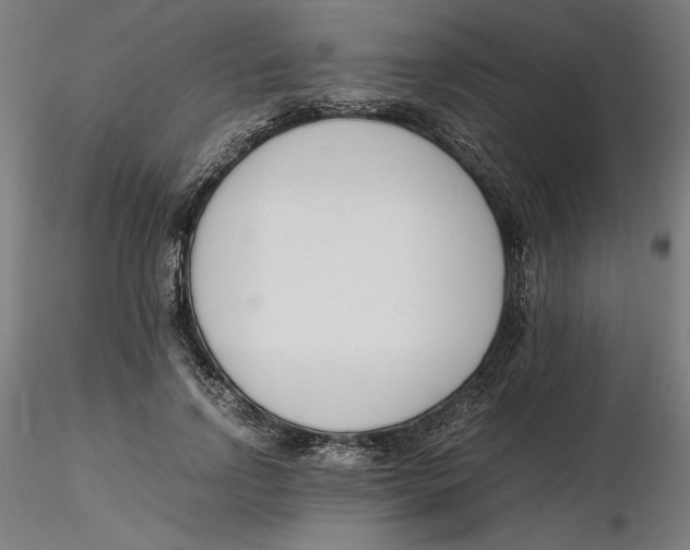 X0000116260742200912291456
