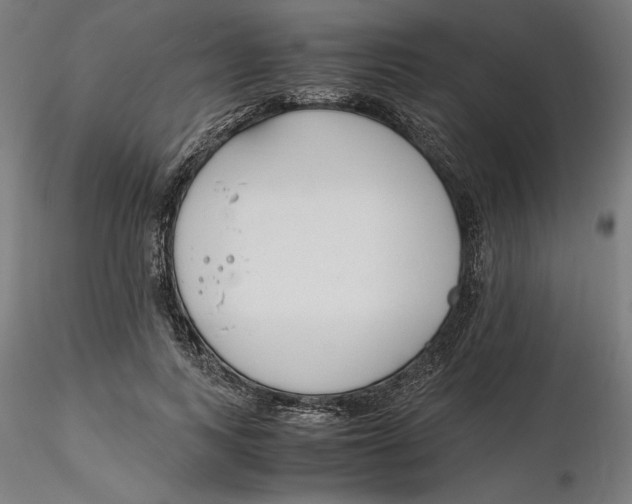 X0000116260743200912291456
