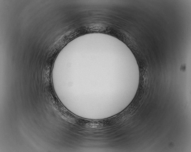 X0000116260745200912291456