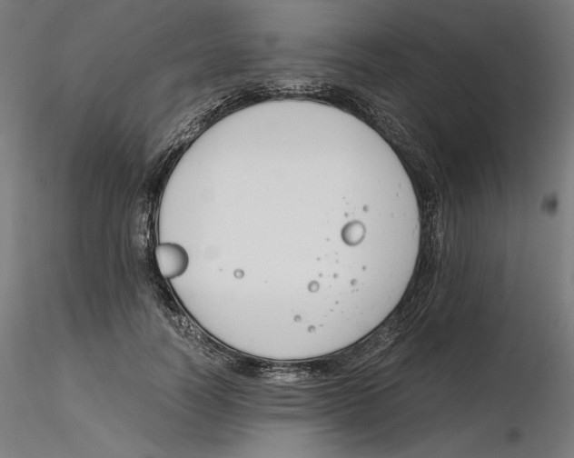 X0000116260746200912291456