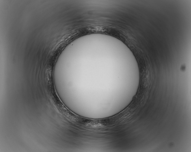 X0000116260747200912291456