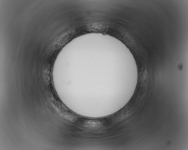 X0000116260749200912291456