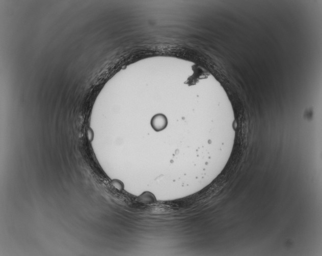 X0000116260750200912291456