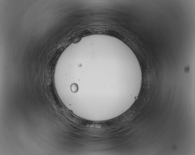 X0000116260751200912291456