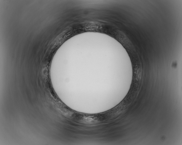 X0000116260753200912291456