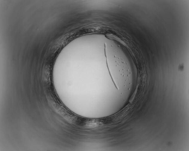 X0000116260754200912291456