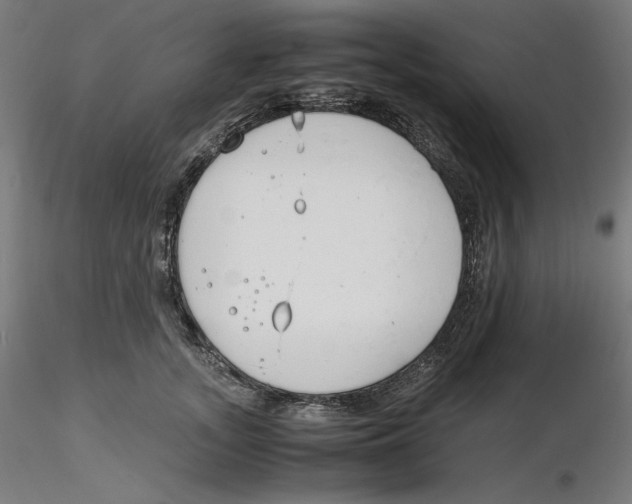 X0000116260755200912291456