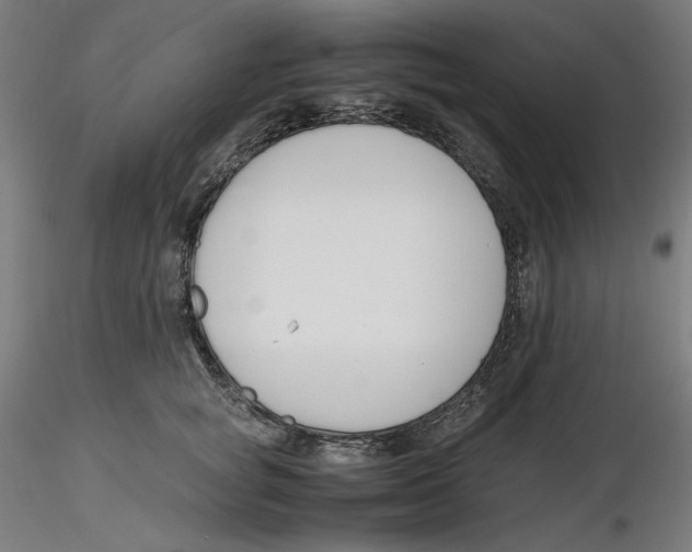 X0000116260757200912291456