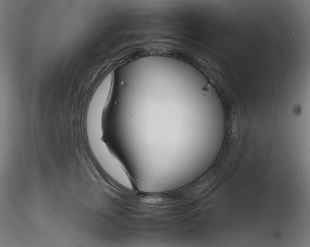 X0000116260759200912291456
