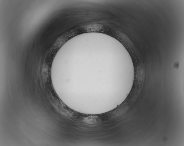 X0000116260761200912291456