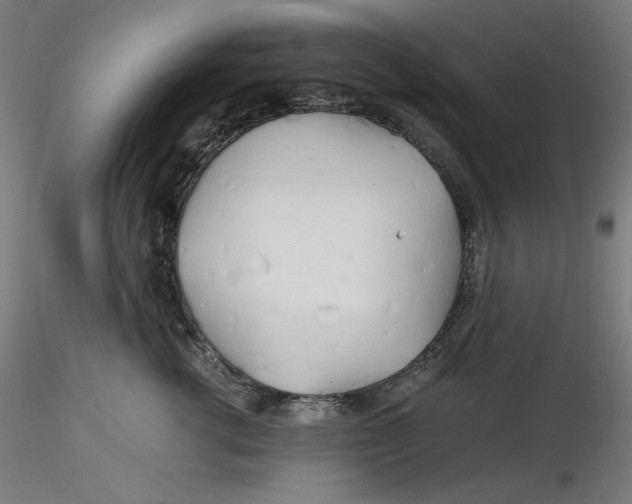 X0000116260762200912291456