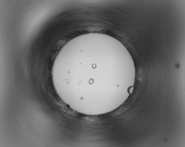 X0000116260763200912291456
