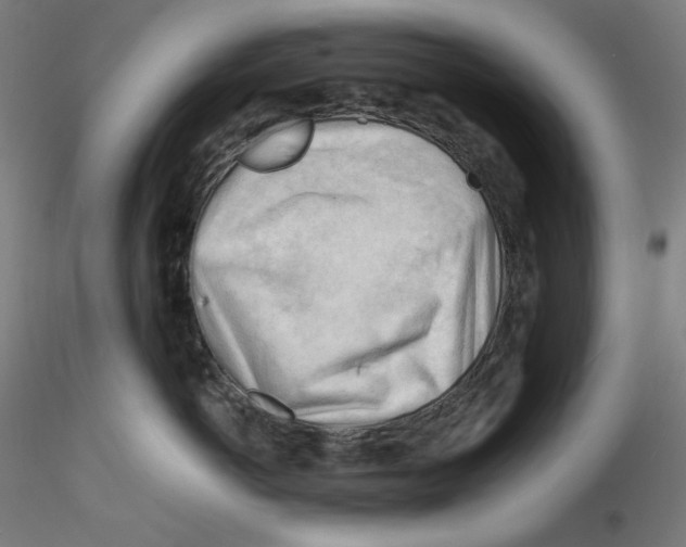 X0000116260766200912291456