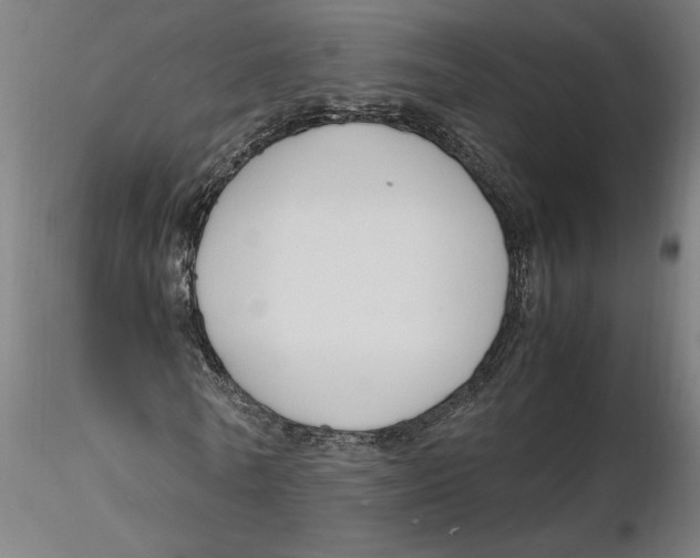 X0000116260770200912291455