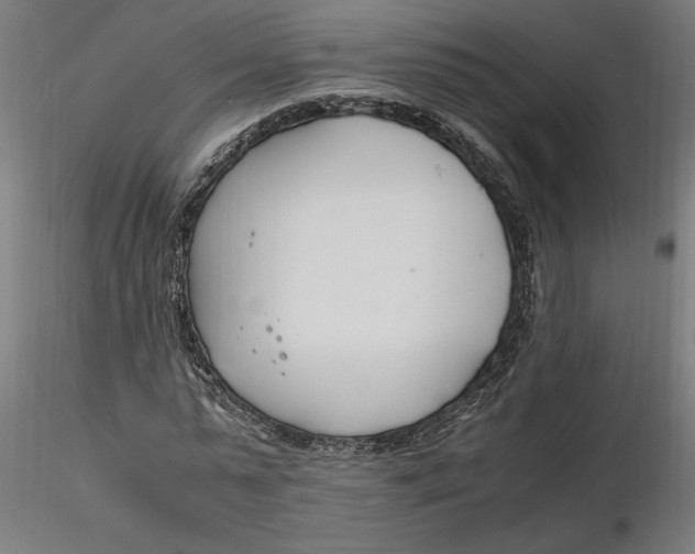 X0000116260775200912291455