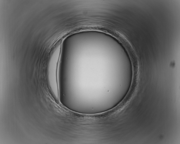 X0000116260777200912291455